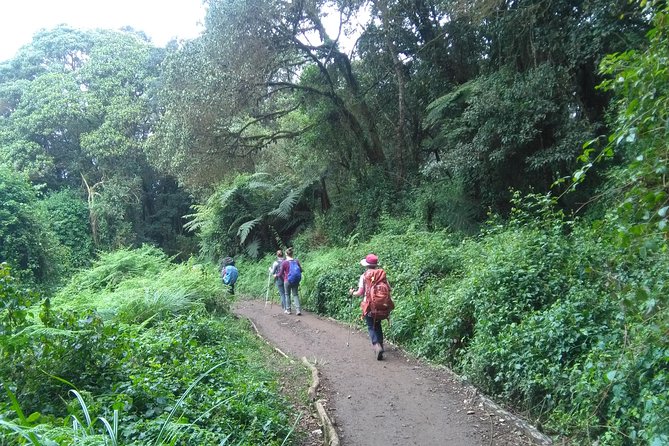 Day Trips Tips