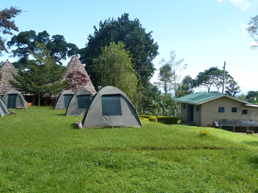 Campsite accommodation in nature